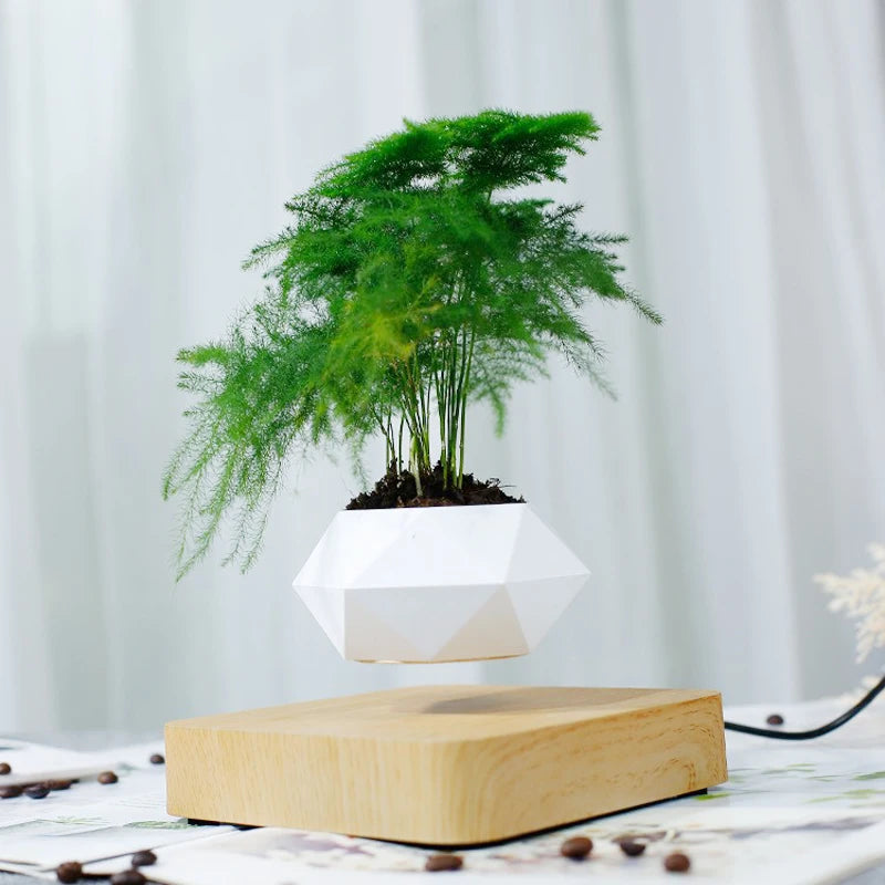 Hot Sale Levitating Air Bonsai Pot Rotation Planters Magnetic