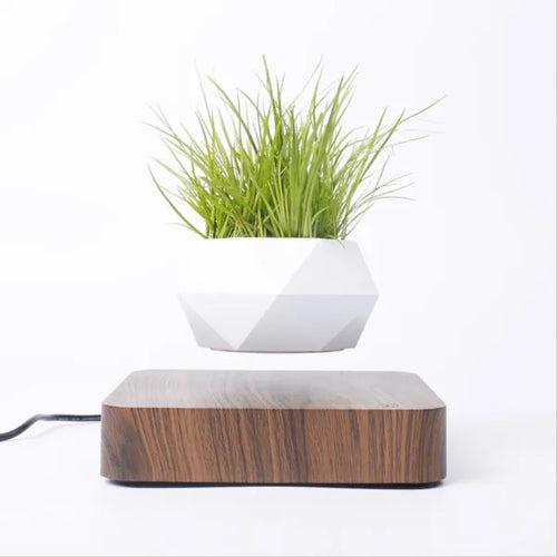 Hot Sale Levitating Air Bonsai Pot Rotation Planters Magnetic