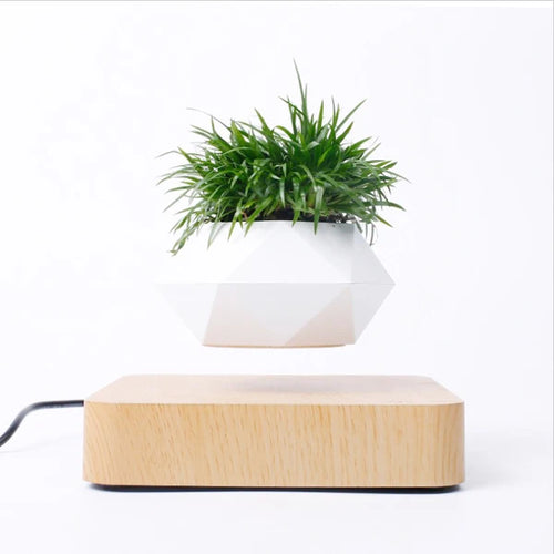 Hot Sale Levitating Air Bonsai Pot Rotation Planters Magnetic